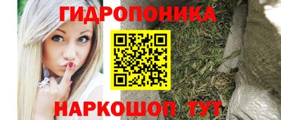 шишки Севастополь
