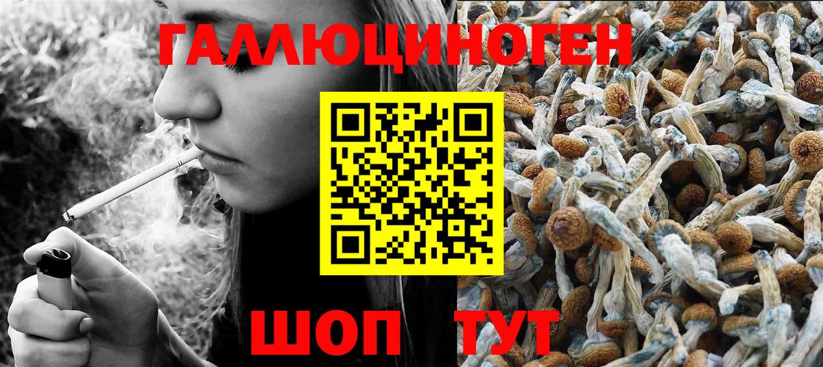 Альметьевск  Галлюциногенные грибы GOLDEN TEACHER  Вход с VPN 