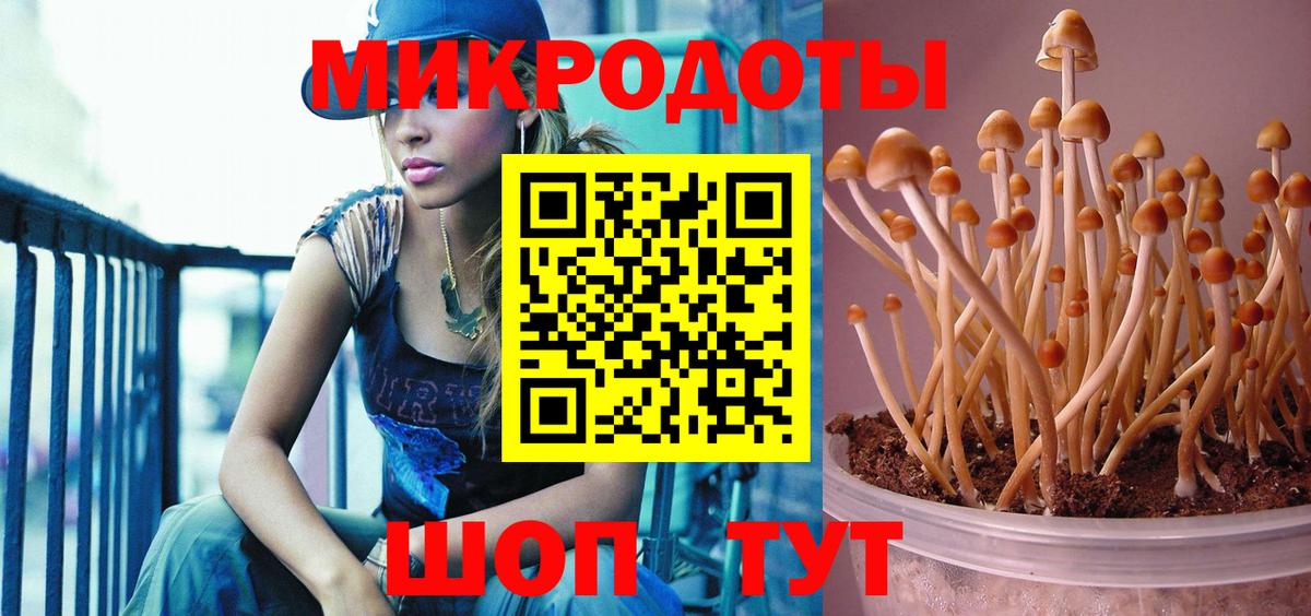 Псилоцибиновые грибы Psilocybine cubensis Альметьевск